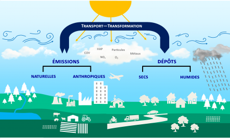 Fiche MERA illustration