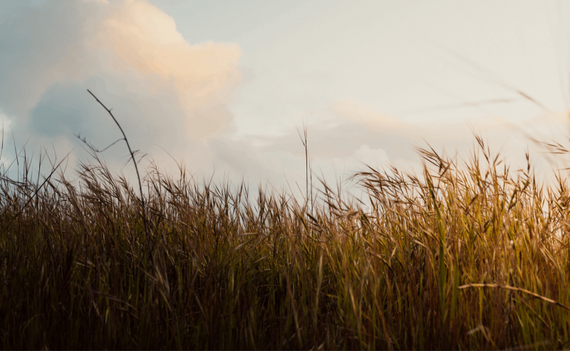 Bakcground chiffres clés